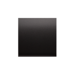 Wippe für Schalter/Taster anthrazit matt Simon 54 Premium Kontakt Simon DKW1/48