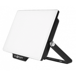 Flutlicht NL-2 10W 6500K IP65