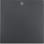 Wippe mit Aufdruck '0' S.1/B.3/B.7 anthrazit, matt 16221606 HAGER
