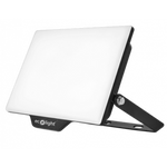 Flutlicht NL-2 50W 4000K IP65