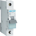 Hager MCS132 
Leitungsschutzschalter 1 polig 6kA C-Charakteristik 32A QuickConnect 1 Modul